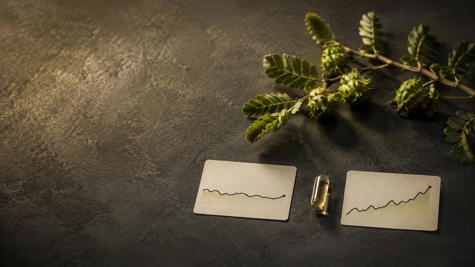 AliPrime: Why Tribulus Studies Reach Different Conclusions