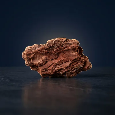 Pycnogenol® (Pine Bark Extract)